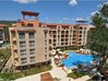 Harmony Suites 1,2 & 3 - Jungle